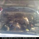 4TASM92N2XZ541076 1999 Toyota Tacoma Xtracab Prerunner auction photo thumbnail 10