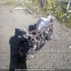 JKAEXMJ139DA40687 2009 Kawasaki Ex250 J auction photo thumbnail 4