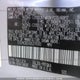 5TDYK3DC4DS376593 2013 Toyota Sienna Xle V6 8 Passenger auction photo thumbnail 9