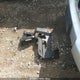 1GNSCAKC4JR254912 2018 Chevrolet Tahoe Ls auction photo thumbnail 11