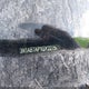 3N1AB7AP1GY227509 2016 Nissan Sentra S auction photo thumbnail 9