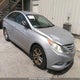 5NPEB4AC4DH808067 2013 Hyundai Sonata Gls auction photo thumbnail 1