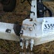 1U3JX1218HBL20248 2017 Silver Eagle Mfg Co Pup auction photo thumbnail 6