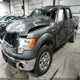 1FTEW1E85AFA21983 2010 Ford F-150 Xl/Xlt auction photo thumbnail 2