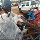 1RF42464832024514 2003 Roadmaster Rail Monocoque auction photo thumbnail 5