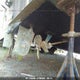 317H25 1967 Uniflite Boat auction photo thumbnail 7
