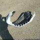 3GNAXHEVXNS163961 2022 Chevrolet Equinox Fwd Ls auction photo thumbnail 12