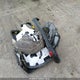 2C3CDZAG8GH300235 2016 Dodge Challenger Sxt auction photo thumbnail 12