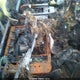 1GCHK24U67E189014 2007 Chevrolet Silverado 2500Hd Classic Lt1 auction photo thumbnail 5