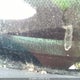 1MEFM53U51A605619 2001 Mercury Sable Ls auction photo thumbnail 9