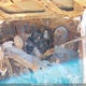2FDKF38G1PCB12640 1993 Ford F350 auction photo thumbnail 10