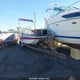 CHT04330I899 1999 Cheetah Performance Cat auction photo thumbnail 3