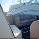 CHT04330I899 1999 Cheetah Performance Cat auction photo thumbnail 8
