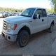 1FTEX1E89AKE05852 2010 Ford F-150 Stx/Xl/Xlt auction photo thumbnail 2