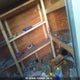 53BPTEA13HU024017 2016 Lgs Industries Enclosed Trailer auction photo thumbnail 5