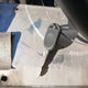1FTEW1C89AKE74823 2010 Ford F-150 Xl/Xlt auction photo thumbnail 11