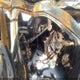 5FNYF18398B034991 2008 Honda Pilot Se auction photo thumbnail 5