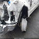 1FD0W4GN7NEE59717 2022 Ford F-450 Chassis Xl auction photo thumbnail 12