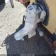 00000SERA7489D976 1977 Sea Ray Boat auction photo thumbnail 10