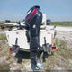 XZN17188A818 2018 Panga Other auction photo thumbnail 15
