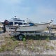 XZN17188A818 2018 Panga Other auction photo thumbnail 12