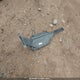 4T1BD1FK5FU168452 2015 Toyota Camry Hybrid Se auction photo thumbnail 11