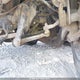 1XKWDB9X8XR818161 1999 Kenworth Construction W900 auction photo thumbnail 21