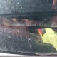 1HGCP36858A041528 2008 Honda Accord 3.5 Ex-L auction photo thumbnail 12