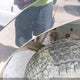 1FTEW1EP0HFC12079 2017 Ford F-150 Xlt auction photo thumbnail 20