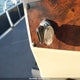 BUJ56691J718 2018 Suntracker Other auction photo thumbnail 11