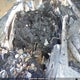 5TFSZ5AN3JX133835 2018 Toyota Tacoma Sr5 V6 auction photo thumbnail 10