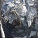 5TFSZ5AN3JX133835 2018 Toyota Tacoma Sr5 V6 auction photo thumbnail 7
