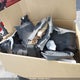 1FA6P8CF4R5406177 2024 Ford Mustang Gt Premium Fastback auction photo thumbnail 12