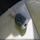 3LNHM28T48R615918 2008 Lincoln Mkz auction photo thumbnail 11