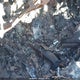 1GYFK63818R154226 2008 Cadillac Escalade Standard auction photo thumbnail 11