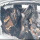 WBAPN735X9A266324 2009 BMW 335D auction photo thumbnail 8
