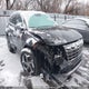 5NMJECDE5RH310400 2024 Hyundai Tucson Limited auction photo thumbnail 1