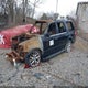 1FMJU2AT6GEF53323 2016 Ford Expedition Limited auction photo thumbnail 2