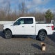 1FTEW1EP6LKE69098 2020 Ford F-150 Xlt auction photo thumbnail 15