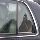 2MEBM7FV7BX601112 2011 Mercury Grand Marquis Ls (Fleet Only) auction photo thumbnail 14