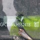 2HGFC2F66LH552418 2020 Honda Civic Lx auction photo thumbnail 9