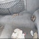 1FTYR14C4WPA17788 1998 Ford Ranger Xl/Xlt auction photo thumbnail 19