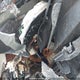 2T3P1RFV4LC114930 2020 Toyota Rav4 Xle auction photo thumbnail 7