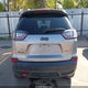 1C4PJMBX6LD500948 2020 Jeep Cherokee Trailhawk 4X4 auction photo thumbnail 17