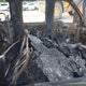 1FTPW12526KA90194 2006 Ford F-150 Lariat/Xlt auction photo thumbnail 8