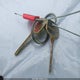 5TEGN92N02Z888491 2002 Toyota Tacoma Prerunner V6 auction photo thumbnail 11