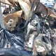 5YJ3E1EC4NF265262 2022 Tesla Model 3 Performance Dual Motor All-Wheel Drive auction photo thumbnail 5
