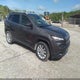 1C4PJMDB9HW636407 2017 Jeep Cherokee Limited 4X4 auction photo thumbnail 1