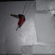 1FTNW21P53EB64279 2003 Ford F-250 Lariat/Xl/Xlt auction photo thumbnail 11