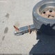 12345678910111213 2018 Homemade Utility Trailer auction photo thumbnail 9